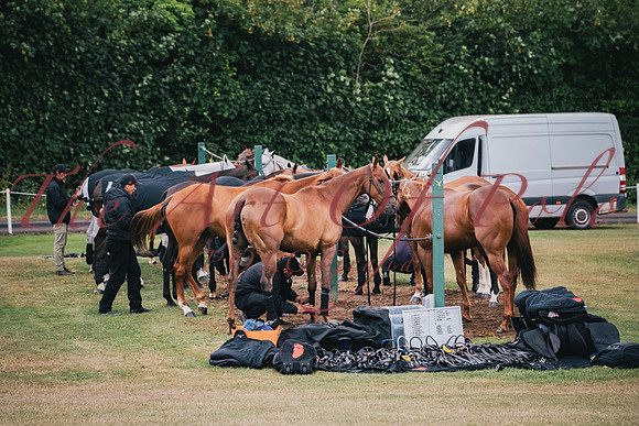 29_06_23_AOP_0008