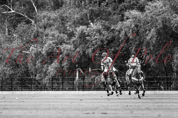 22_09_22_AOP_249