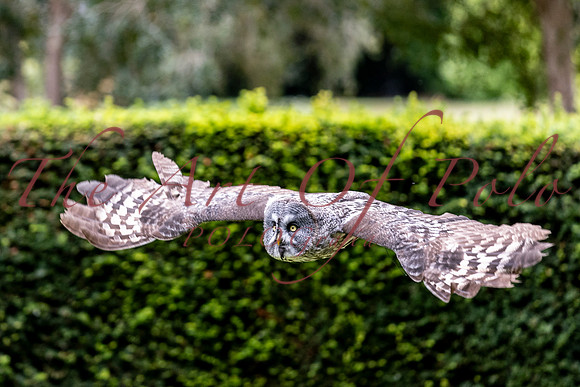 01_09_25_AOP_0329