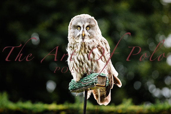 01_09_25_AOP_0416