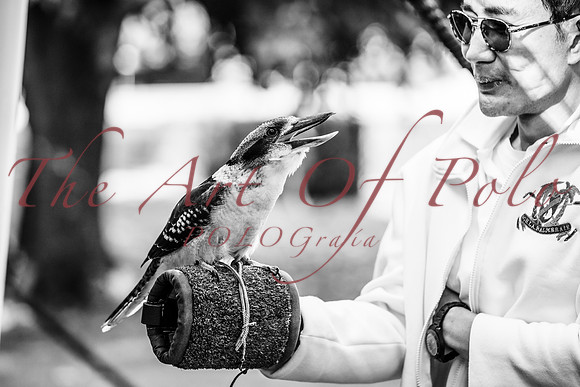 01_09_25_AOP_0839