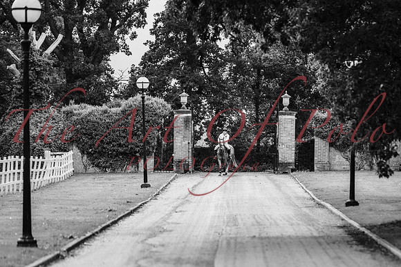 03_09_25_AOP_159
