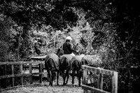 Emsworth Polo Grounds