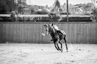 25_10_25_AOP_310