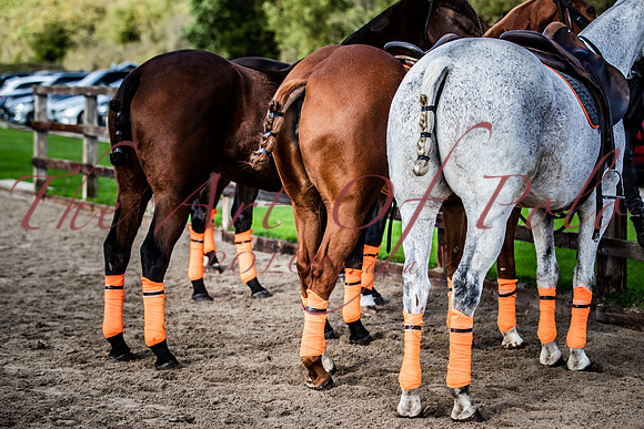 30_10_22_AOP_134