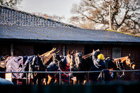 Royal County of Berkshire Polo Club