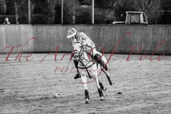 13_11_22_AOP_336