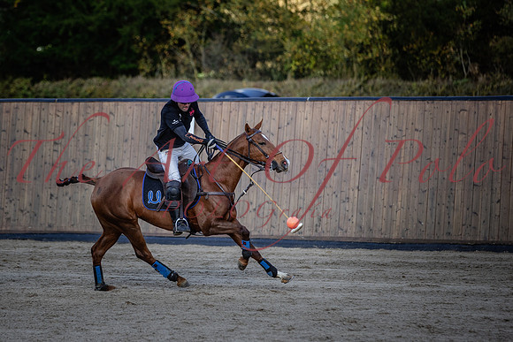 13_11_22_AOP_362