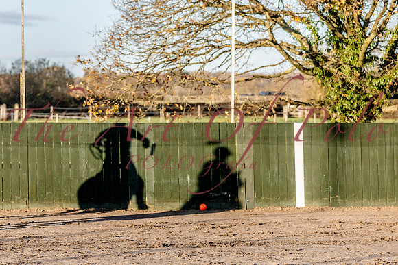 30_11_25_AOP_649