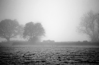03_12_25_AOP_001