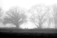 03_12_25_AOP_002