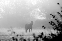 03_12_25_AOP_027