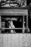 13_12_25_AOP_022