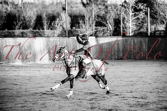 13_12_25_AOP_404