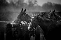 Beaufort Polo Club