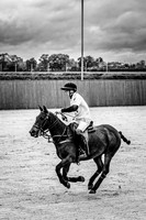 31_10_25_AOP_021