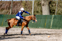 17_02_26 Gold Cup : Red Star 16 vs Monterosso 15