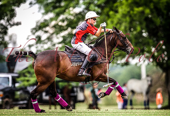 28.11.2016_AOP 0382