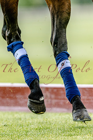 03_05_26_AOP_018