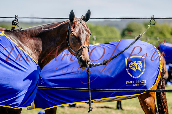 12_05_26_AOP_036