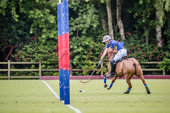 03_06_26_AOP_421