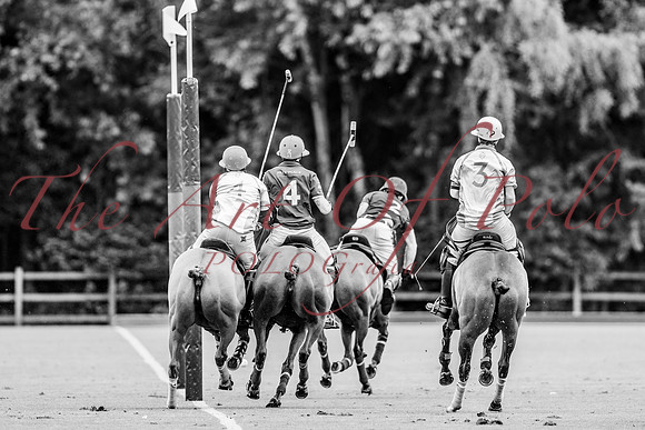 03_06_26_AOP_542
