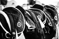 06_06_26_AOP_1388