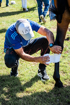 12_06_26_AOP_024