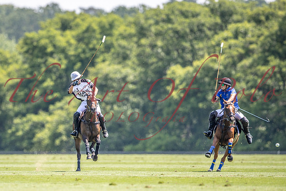 26_06_24_AOP_382