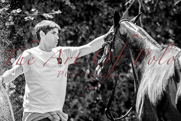 01_07_26_AOP_338