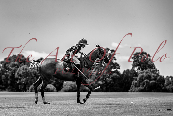 13_06_26_AOP_712