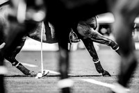 Cowdray Park Polo Club