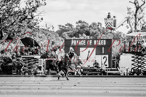 26_07_26_AOP_243