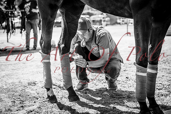 01_08_26_AOP_166