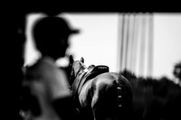 03_08_26_AOP_030