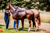 01_07_25 Gold Cup : Aureus 11 vs Thai Polo 13