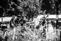 08_08_26_AOP_1126
