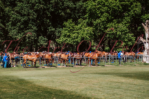 24_05_23_AOP_001