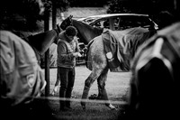 06_06_23_AOP_011