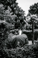 13_05_23_AOP_0002