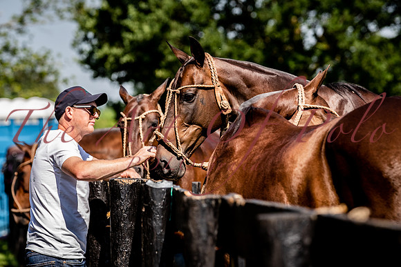 13_06_23_AOP_011