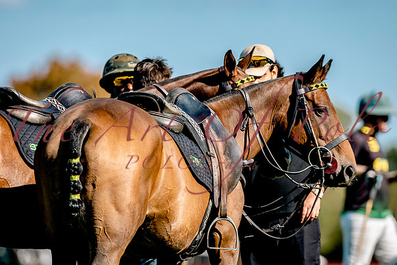 05_09_26_AOP_0773