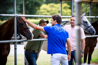 11_08_24_AOP_277