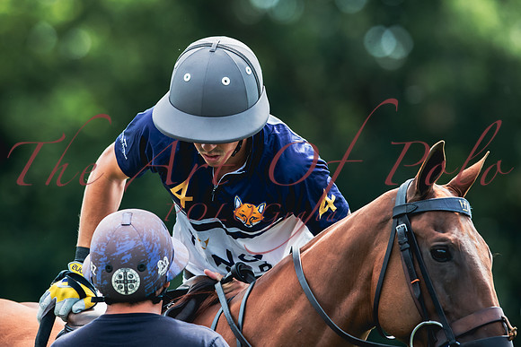29_06_23_AOP_0577
