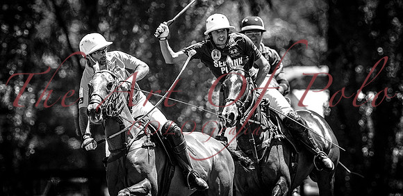 10.11.2016_AOP 143
