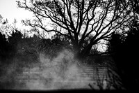 08_04_25_AOP_039