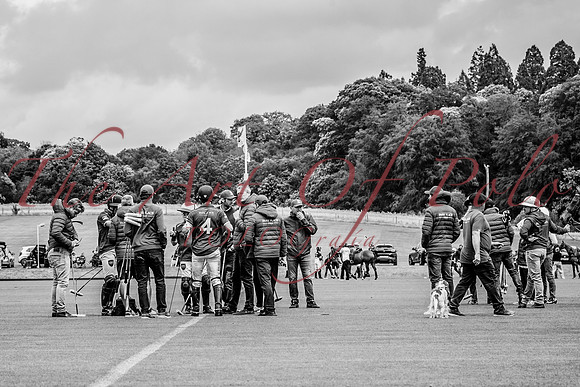 12_07_23_AOP_236