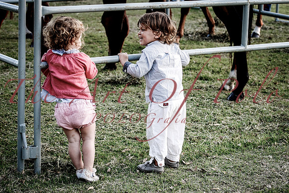 01_12_15_A 0772-2