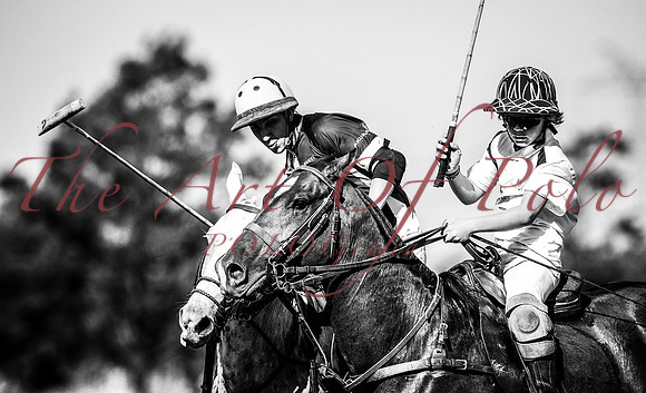 19.02.2017_AOP 223