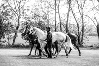 Prince Of Wales